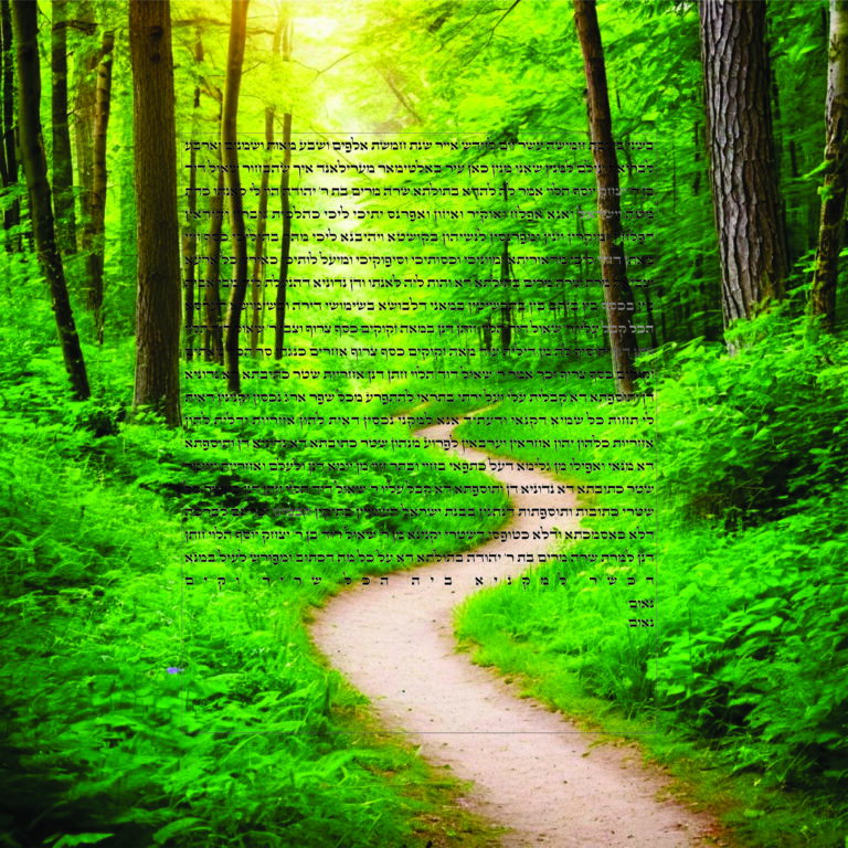 A path in the middle of a green forest.